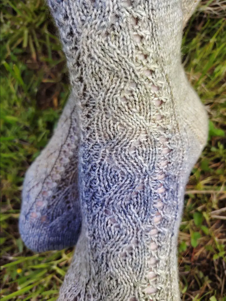 IMG_20250608_190647_edit_565558208507537 (1).webp